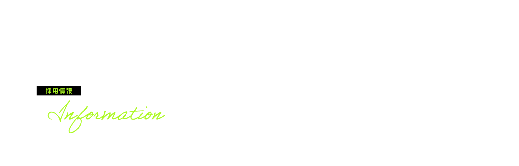 採用情報